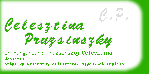 celesztina pruzsinszky business card